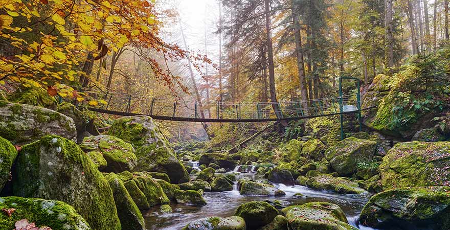 Wildbachklamm Buchberger Leite bei Freyung im Bayerischen Wald in Deutschland