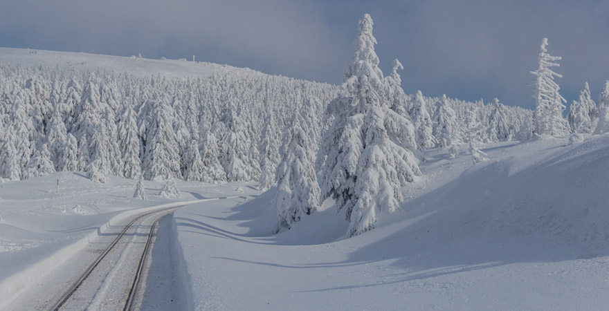 Winterlandschaft im Harz
