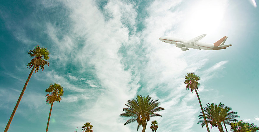 Flugzeug am Himmel über Palmen