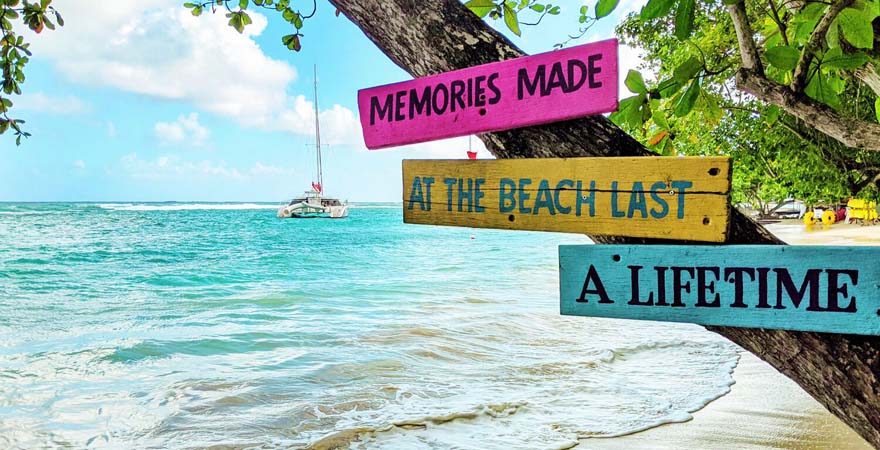 Schilder an einem Baum am Strand von Jamaika