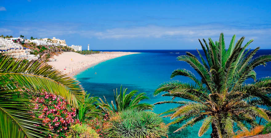 Strand Playa de Morro Jable mit grünen Palmen, Blick auf die Stadt und die Atlantikküste. Standort der Kanarischen Insel Fuerteventura, Spanien.