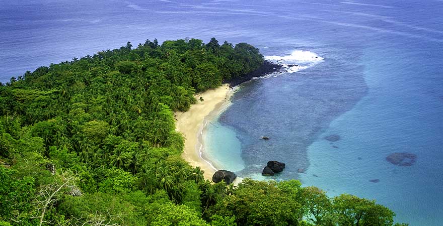 Strand mit Dschungel in Afrika