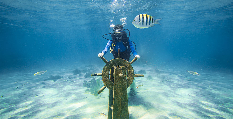 Taucher mit Schiffswrackteilen und einem bunten Fisch