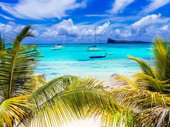 Strand auf Mauritius mit Palmen und klarem Wasser