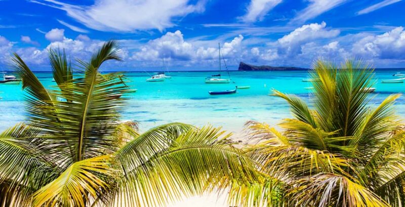 Strand auf Mauritius mit Palmen und klarem Wasser