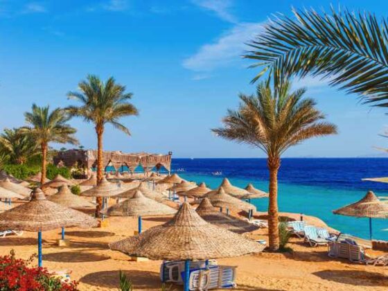 Sonniger Strand mit Palmen an der Küste Küste des Roten Meeres