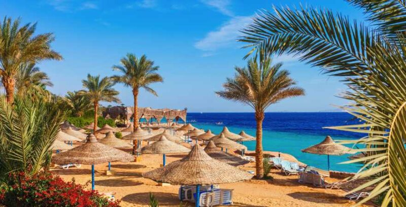 Sonniger Strand mit Palmen an der Küste Küste des Roten Meeres