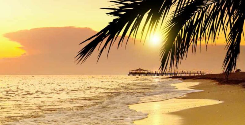 Sonnenuntergang am Strand von Belek, Türkei mit Palmenblatt im Vordergrund