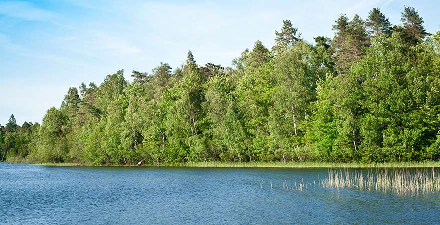 See Bolmen im westlichen Teil Smålands in Schweden