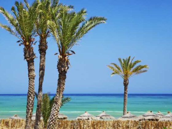Djerba Strand mit Palmen im Sonnenschein