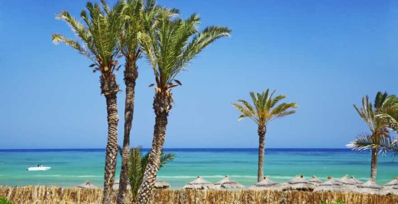 Djerba Strand mit Palmen im Sonnenschein