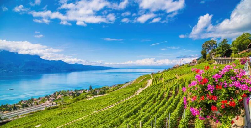 Blick vom grünen Hügel auf einen See mit Bergen im Hintergrund in Lavaux, Schweiz
