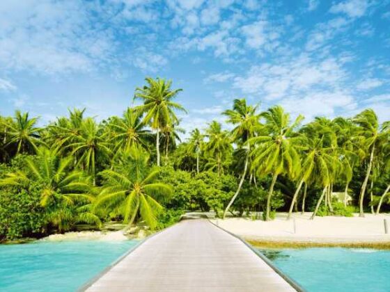 Strand mit Palmen auf den Malediven