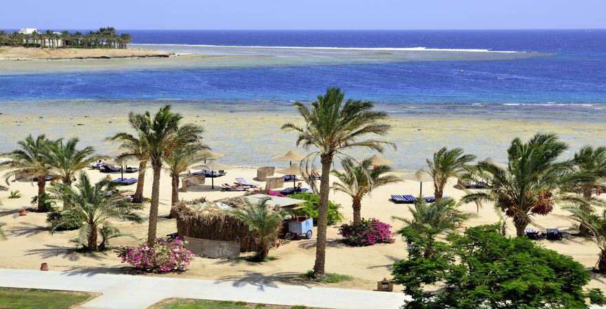 Strand in Marsa Alam mit Palmen und Wasser