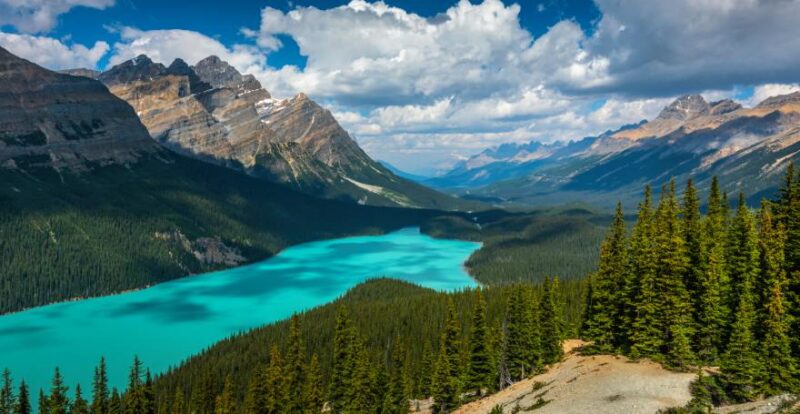 Peyto Lake mit Bergen und Wald, Kanada