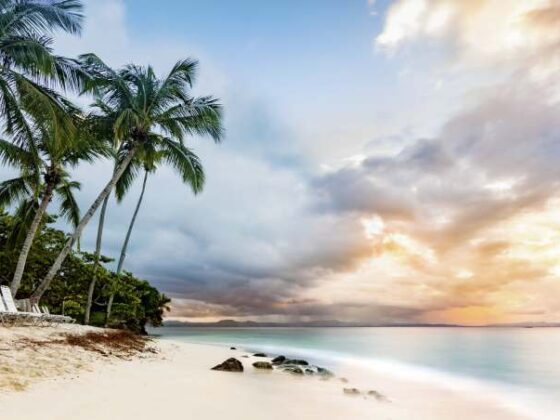 Blick auf einen Sandstrand in der Dominikanischen Republik mit Palmen und Sonnenliegen