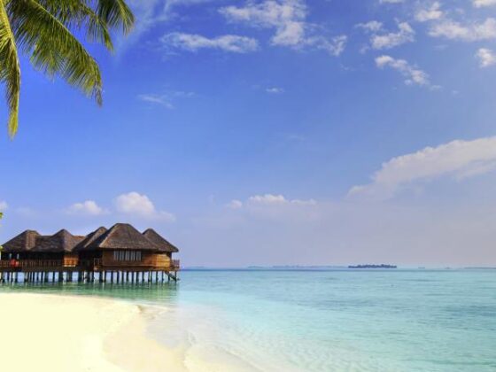 Malediven Strand mit Palme und Haus auf Steg