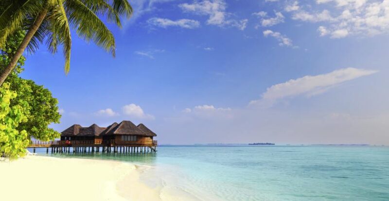 Malediven Strand mit Palme und Haus auf Steg