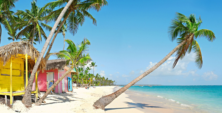 Dominikanische Republik, Punta Cana, Palmenstrand