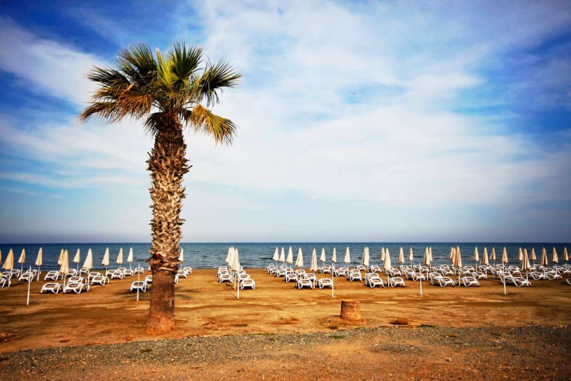 Finikoudes Beach Zypern mit Palmen und Liegen