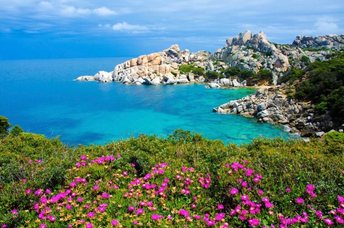 Sardinien oder Korsika – welche Insel passt am besten zu mir? Küste von Sardinien mit Felsen, blauem Meer und Blumen