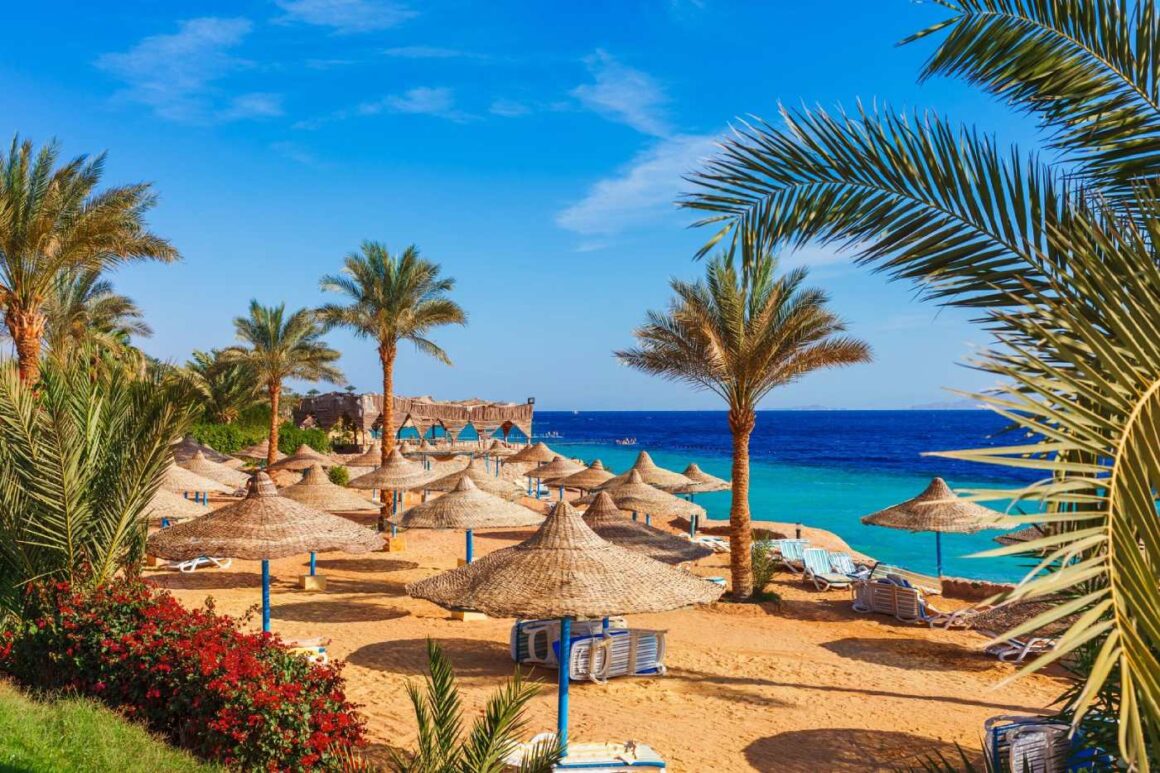 Sonniger Strand mit Palmen an der Küste Küste des Roten Meeres in Sharm el Sheikh, Ägypten