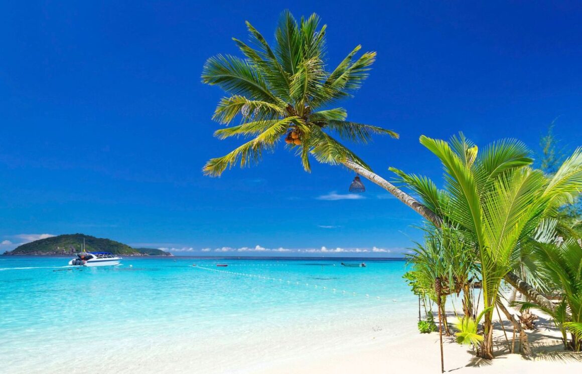 Strand von Thailand mit Palme