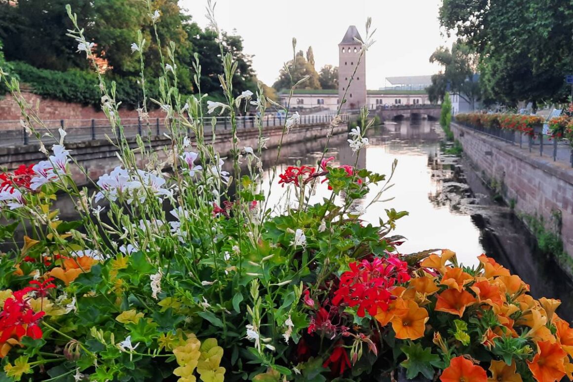 Mit Blumen verzierter Kanal in Straßburg, Frankreich