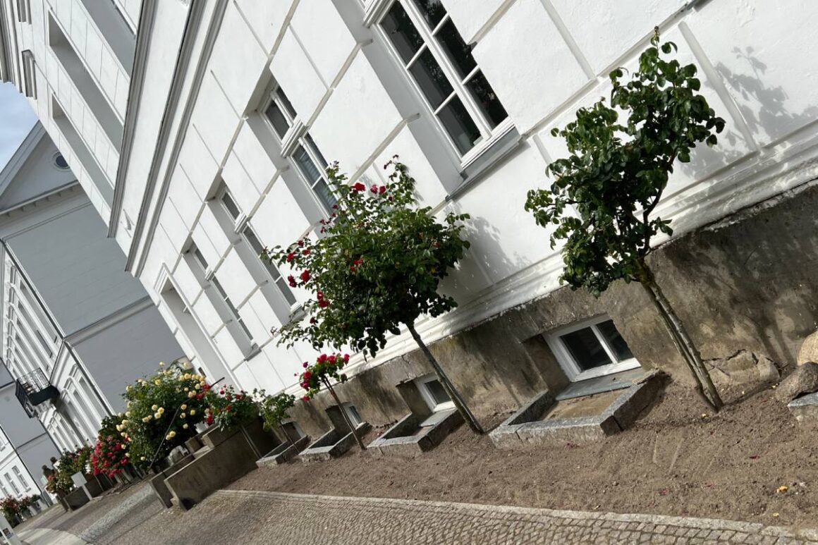 Blumen in Putbus