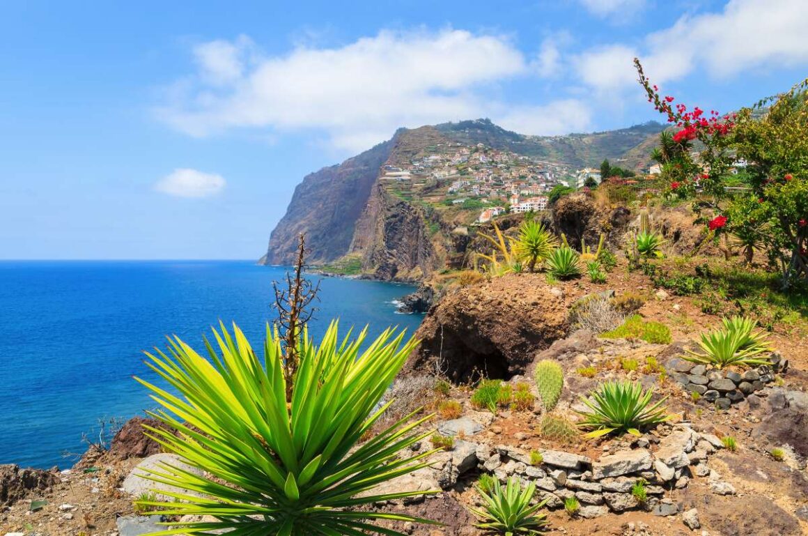 Südküste von Madeira mit Kakteen und anderen Pflanzen