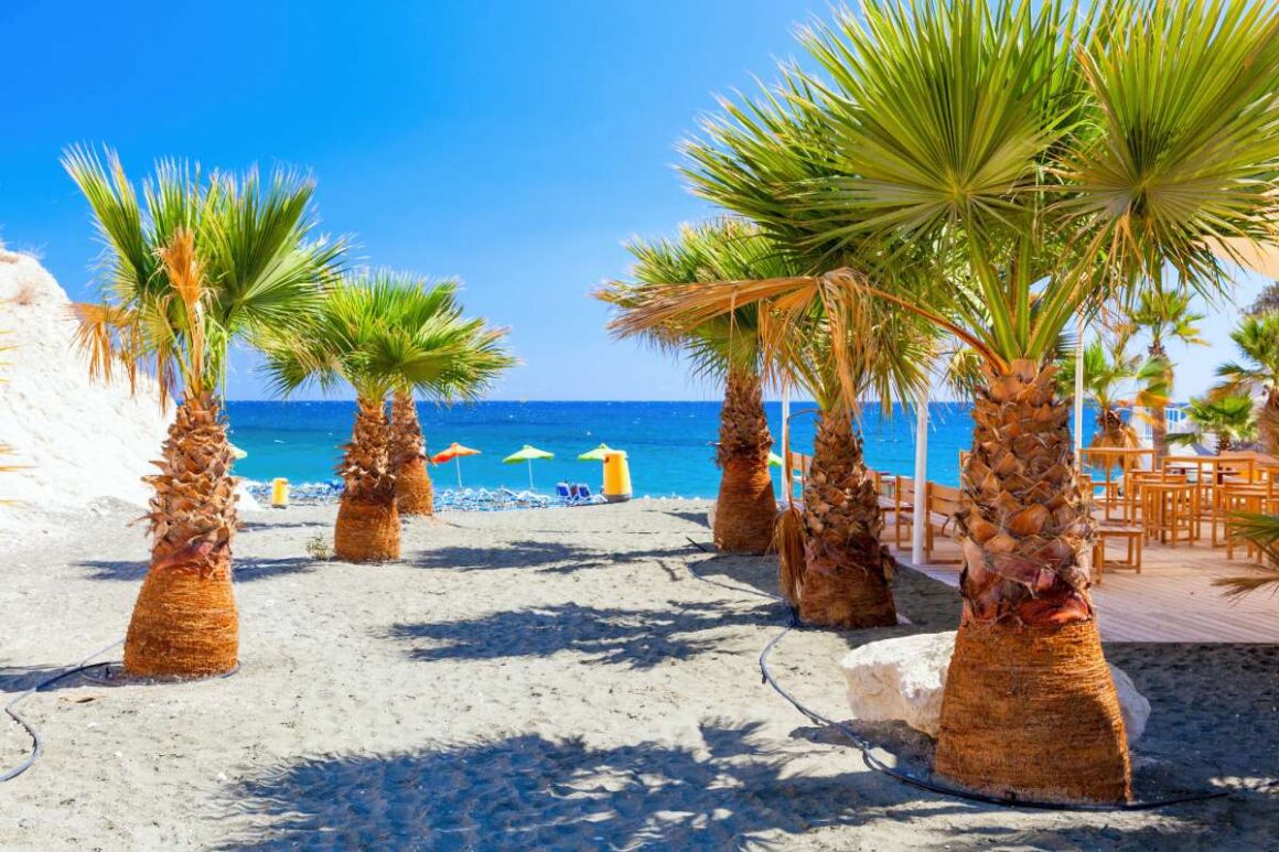 Strand auf Zypern mit Palmen