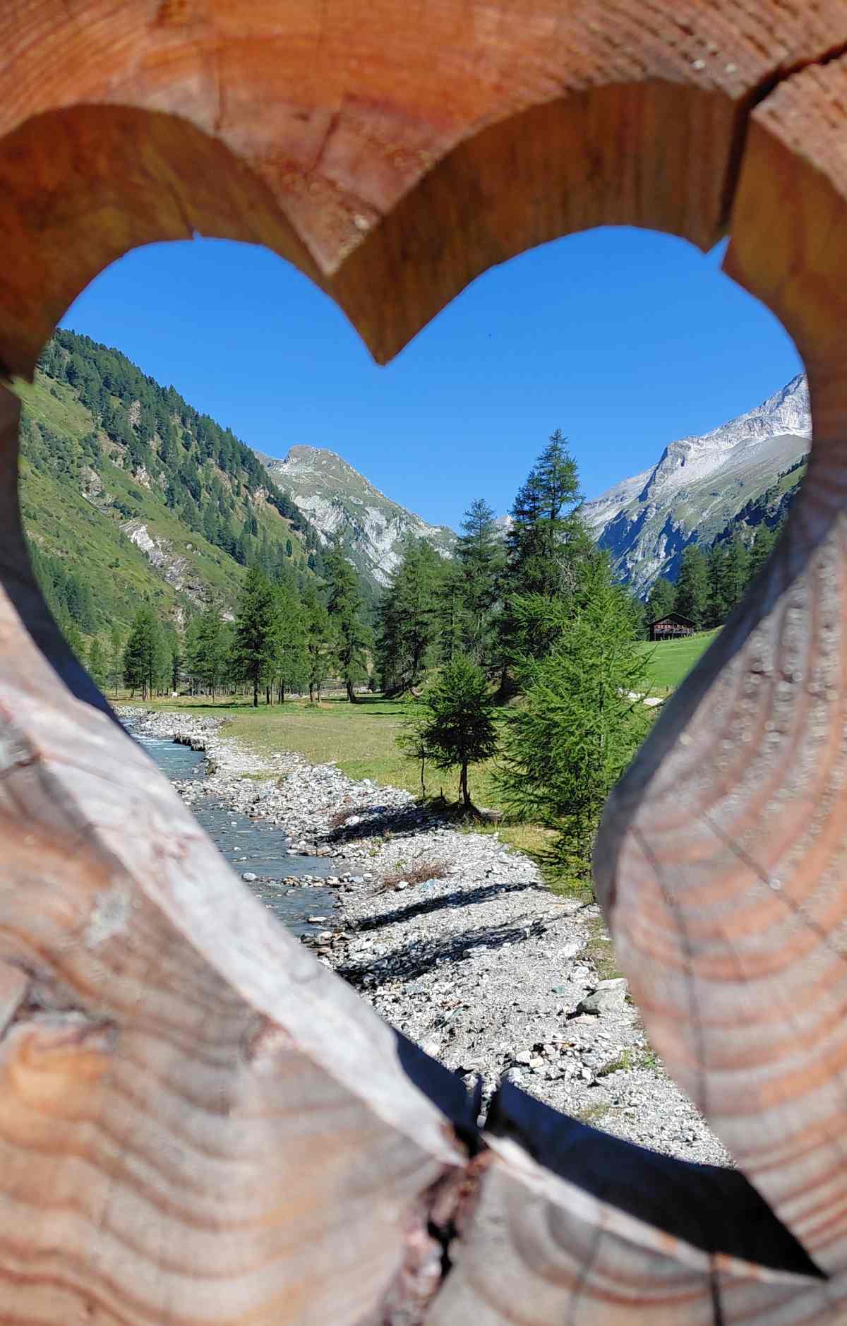 Loch im Baum in Herzform in Hohe Tauern in Österreich