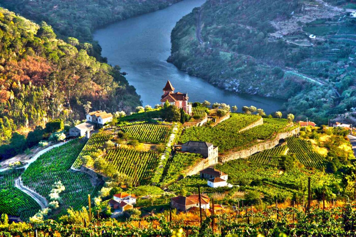 Die schönsten Flusskreuzfahrten weltweit: unterwegs auf 7 faszinierenden Flüssen Weinberge am Douro in Portugal