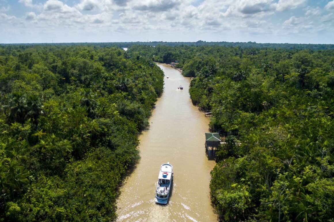 Amazonas und Regenwald in Brasilien