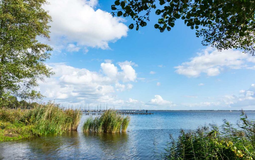 Neue Aussichtsplattform: Steinhuder Meer bekommt SkyLoop mit Weitblick Steinhuder Meer: Blick vom Ufer mit Schilf und Hintergrund Segelboote am Steg