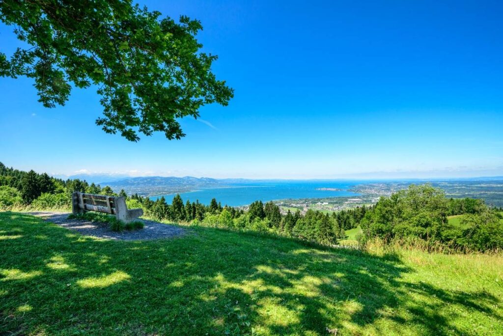 Wanderpfad mit Blick auf den Bodensee an sonnigem Sommertag