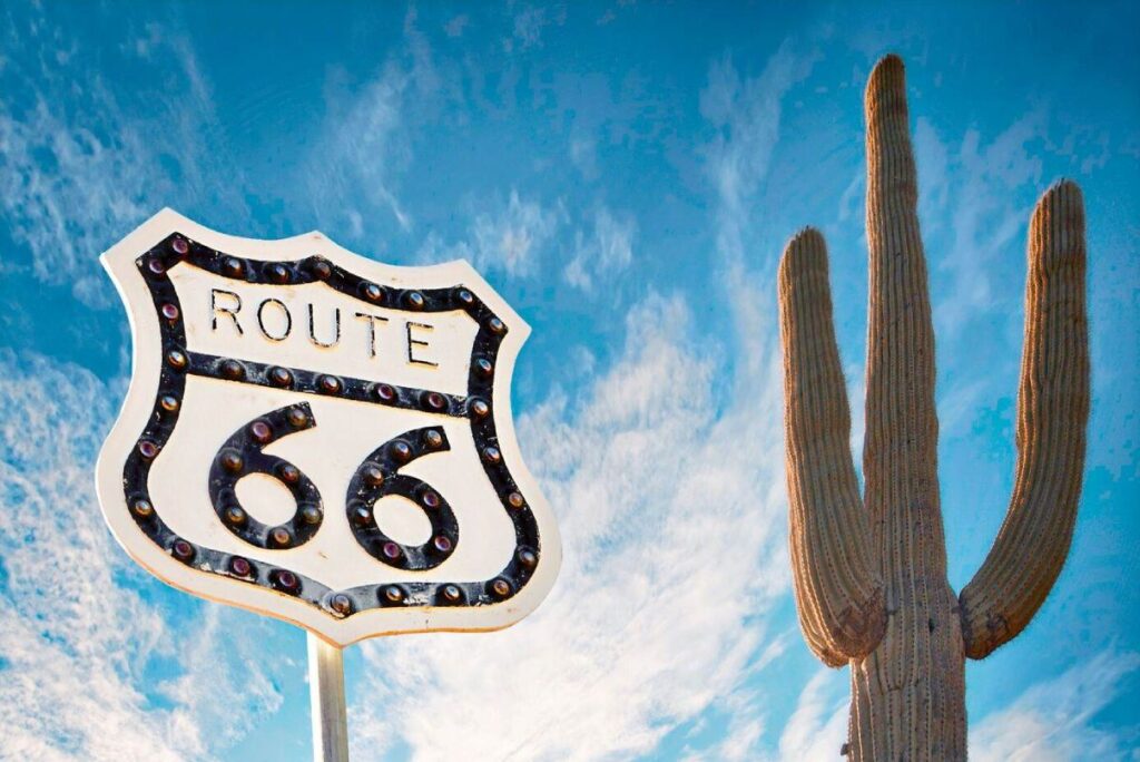Route 66 schild und kaktus