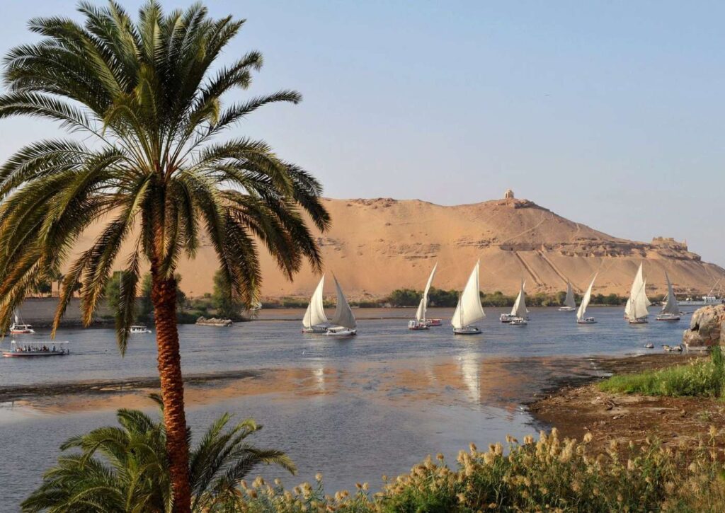 Schiffe auf dem Nil in Ägypten mit Palme im Vordergrund