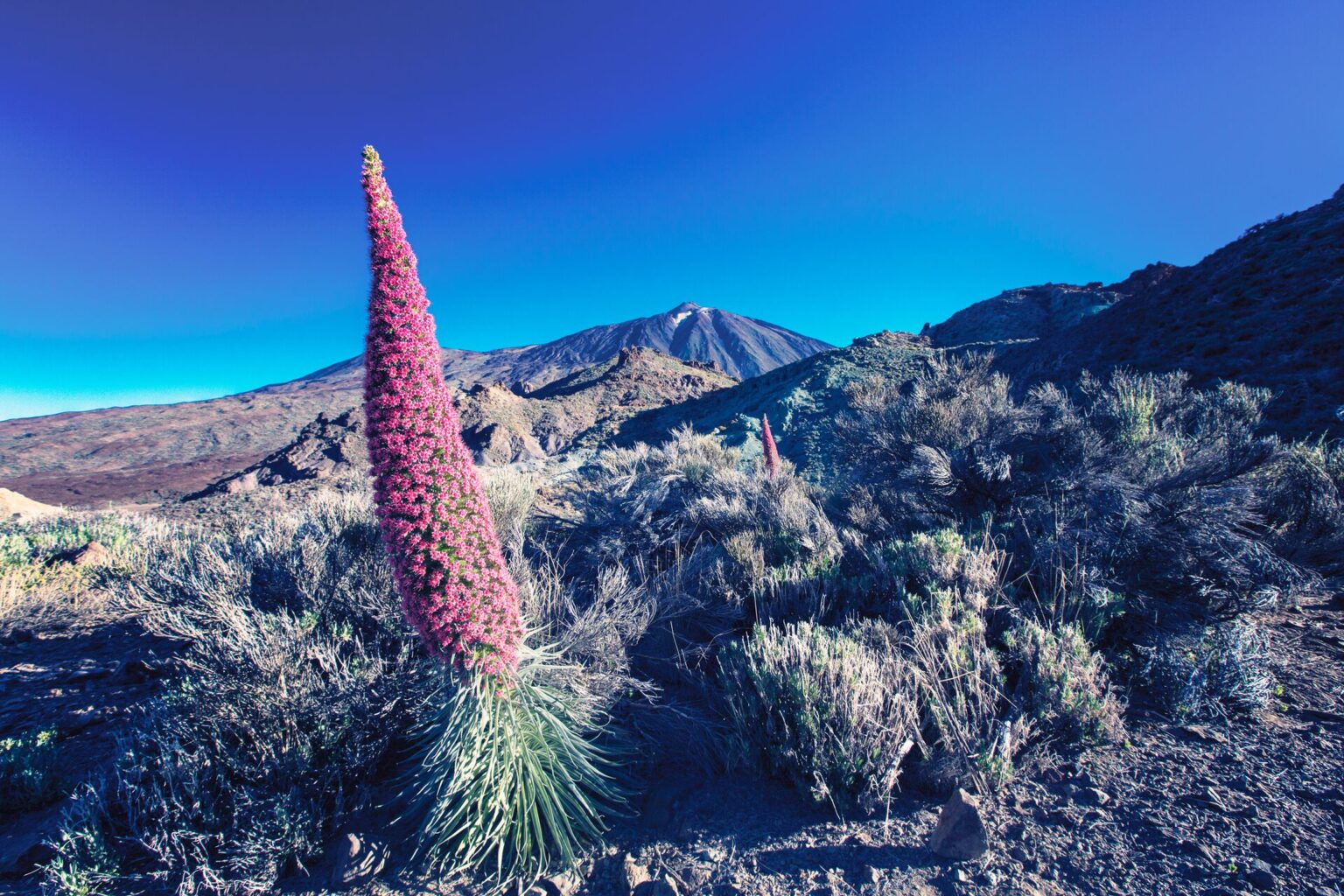 Großer Umbau am Flughafen Teneriffa-Süd ab 2027: Modernisierung und bessere Anbindung Teide auf Teneriffa