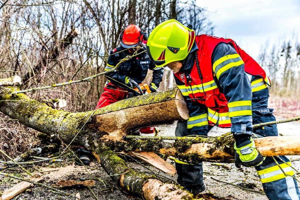 Schwere Unwetter in Spanien kosten Menschenleben – was Reisende wissen sollten Zwei spanische Feuerwehrmänner zersägen umgefallenen Baum auf einer Straße
