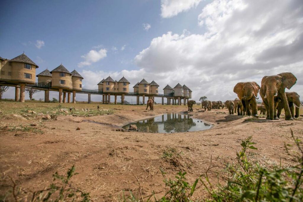 Salt Lick Safari Lodge in Kenia